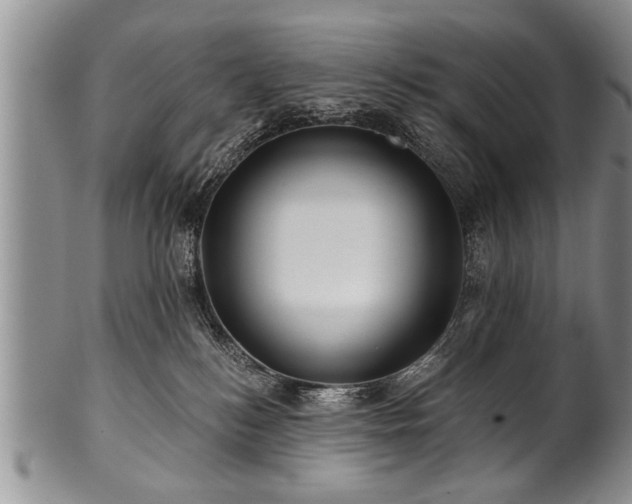 X0000100780184200806261637