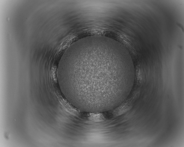 X0000100780185200806261637