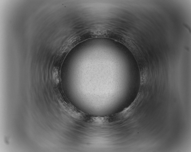 X0000100780187200806261637