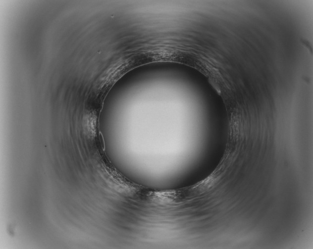 X0000100780188200806261638