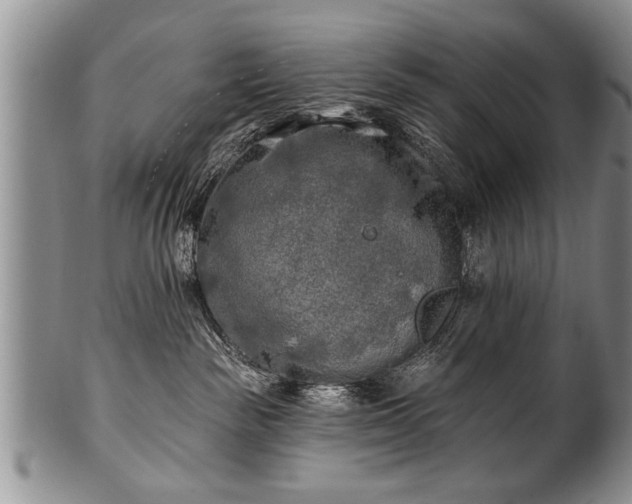 X0000100780189200806261638