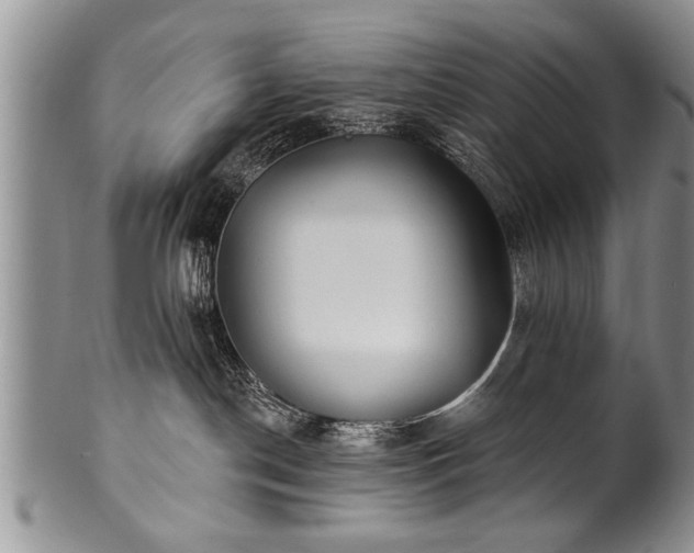 X0000100780190200806261638