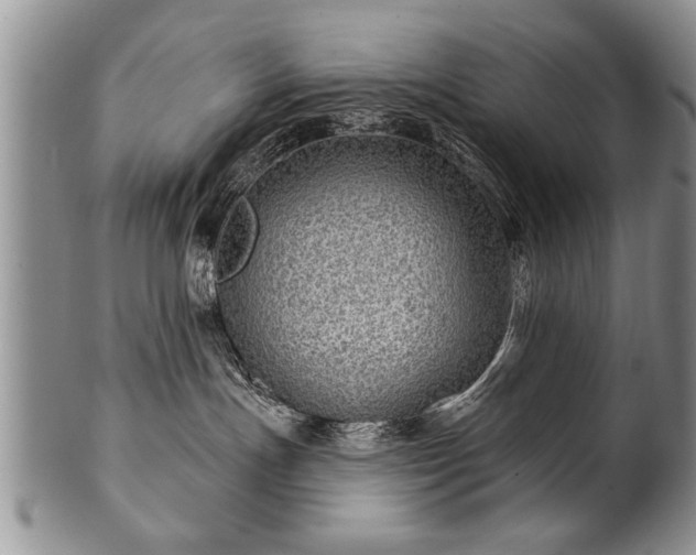 X0000100780191200806261638