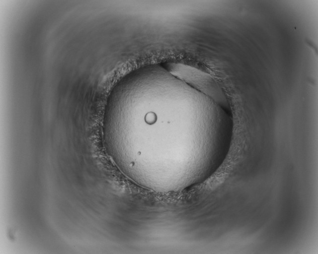 X0000100780192200806261638