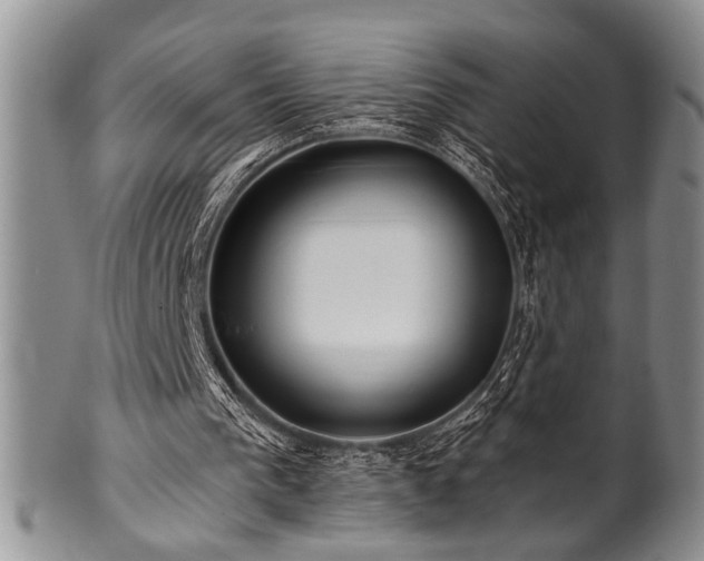 X0000100780193200806261637