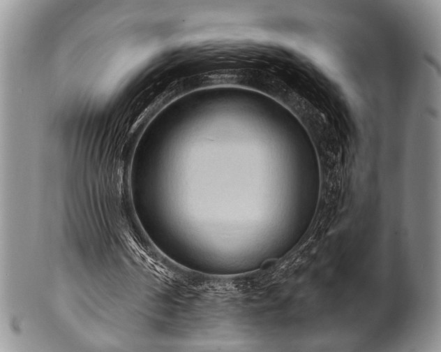 X0000100780194200806261637