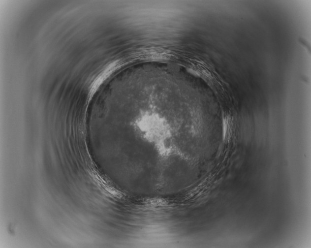 X0000100780195200806261637