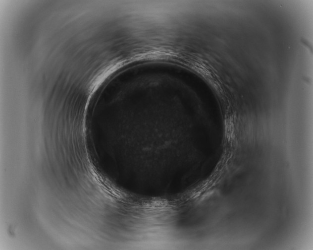 X0000100780196200806261637