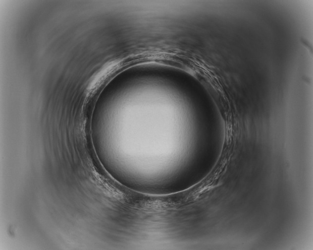 X0000100780197200806261637