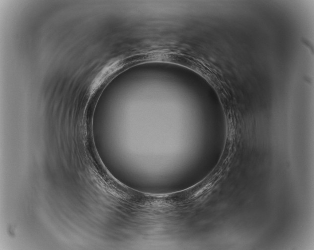 X0000100780198200806261637