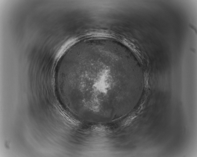 X0000100780199200806261637