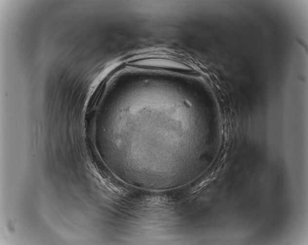 X0000100780200200806261637