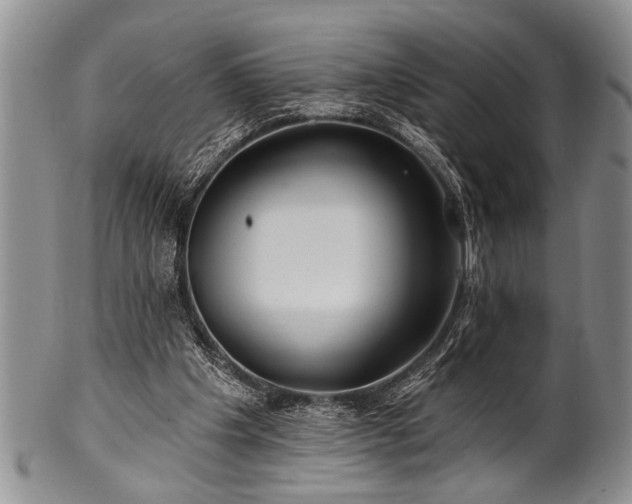 X0000100780201200806261637