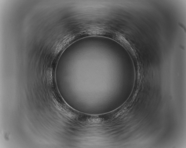 X0000100780202200806261637