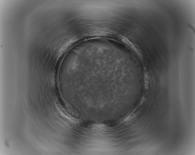 X0000100780203200806261637