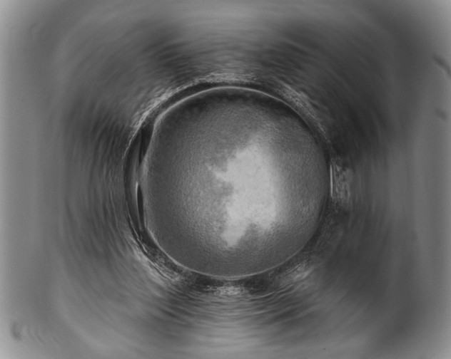 X0000100780204200806261637