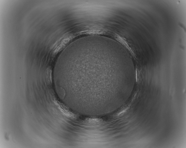 X0000100780205200806261637