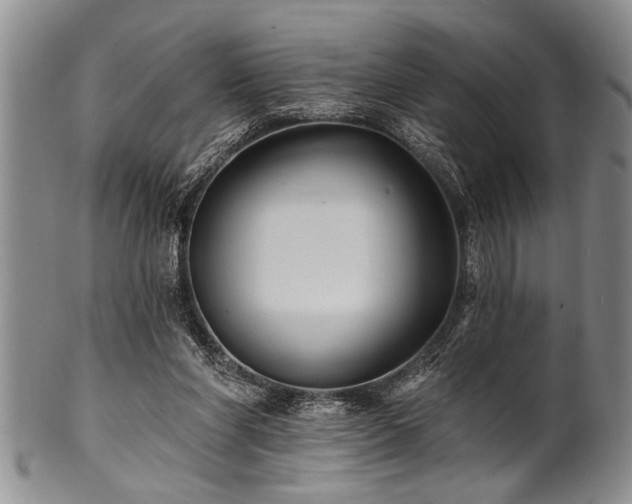 X0000100780206200806261637