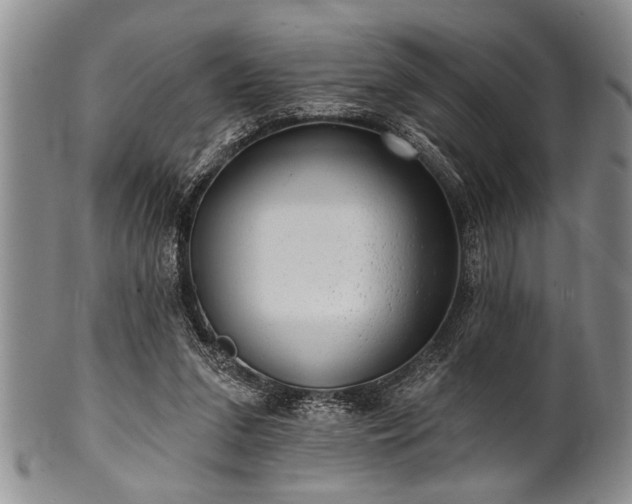 X0000100780207200806261637