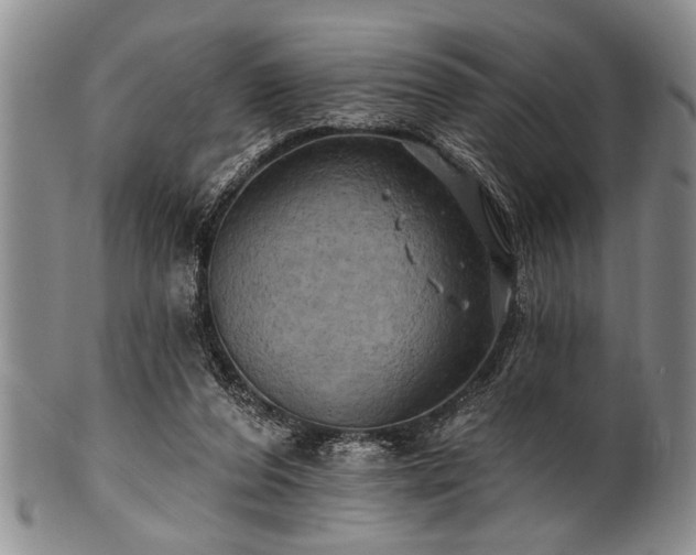 X0000100780208200806261637