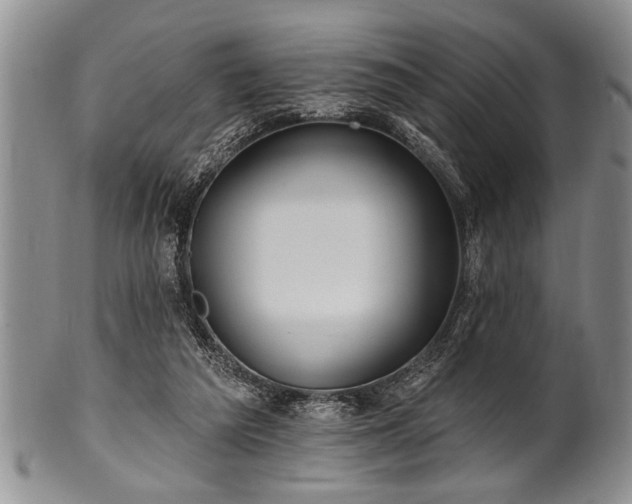 X0000100780209200806261637