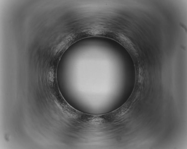 X0000100780210200806261637