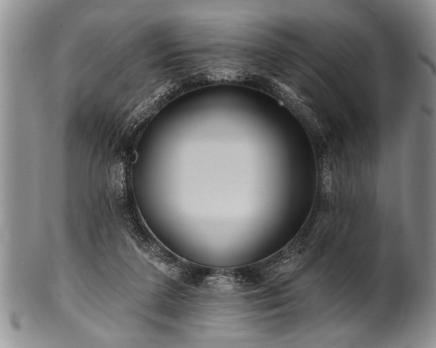 X0000100780211200806261637