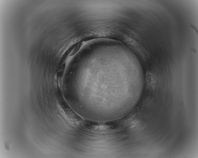 X0000100780212200806261637