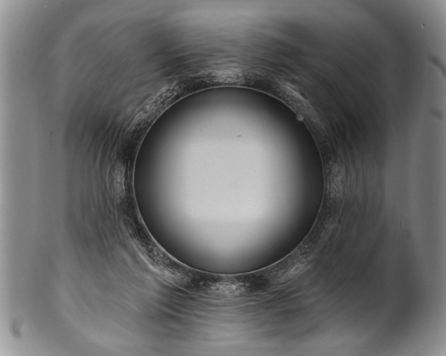 X0000100780213200806261637