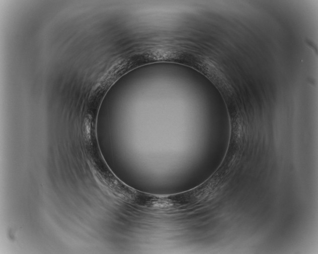 X0000100780214200806261637