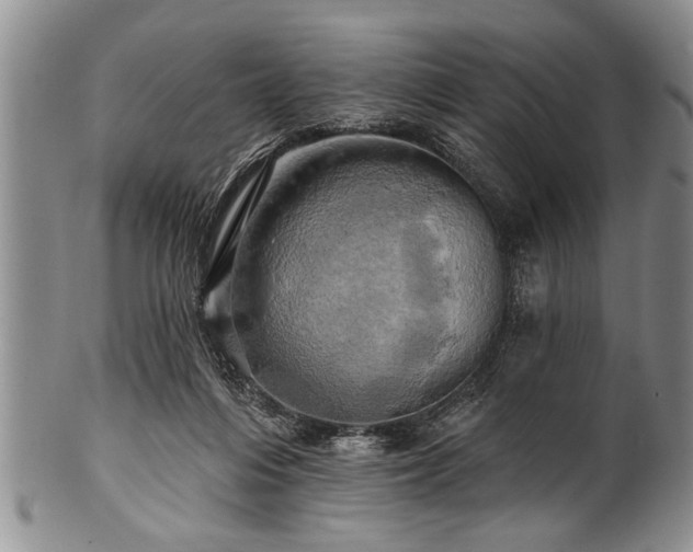 X0000100780216200806261637