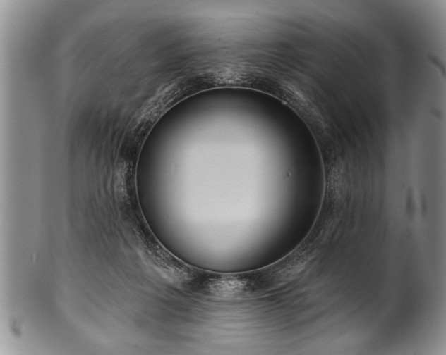 X0000100780217200806261637