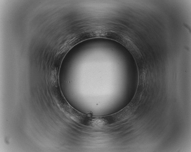 X0000100780218200806261637