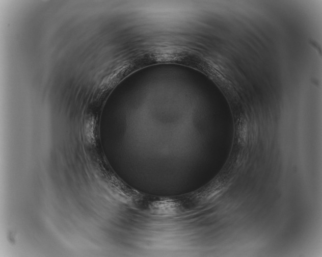 X0000100780219200806261636