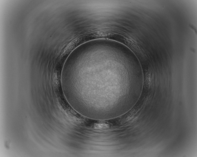 X0000100780220200806261636