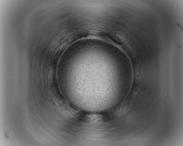 X0000100780221200806261636