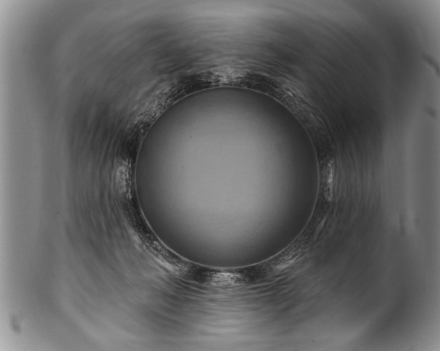 X0000100780222200806261636