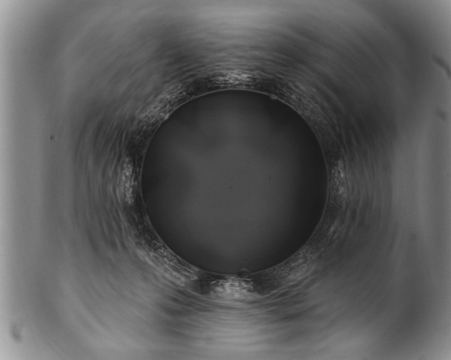 X0000100780223200806261636