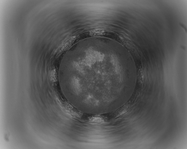 X0000100780224200806261636