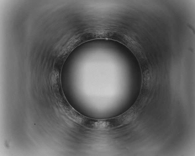 X0000100780225200806261636