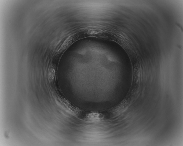 X0000100780227200806261636