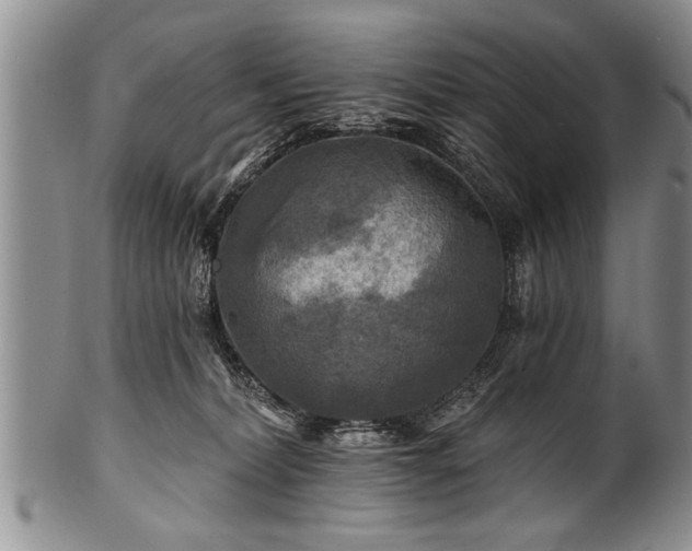 X0000100780228200806261636