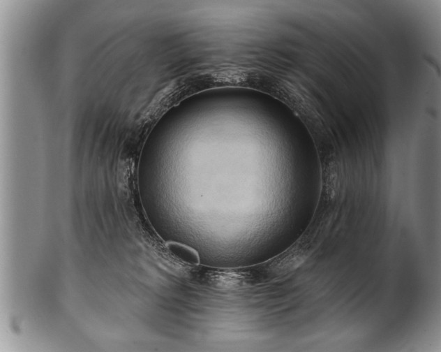 X0000100780229200806261636