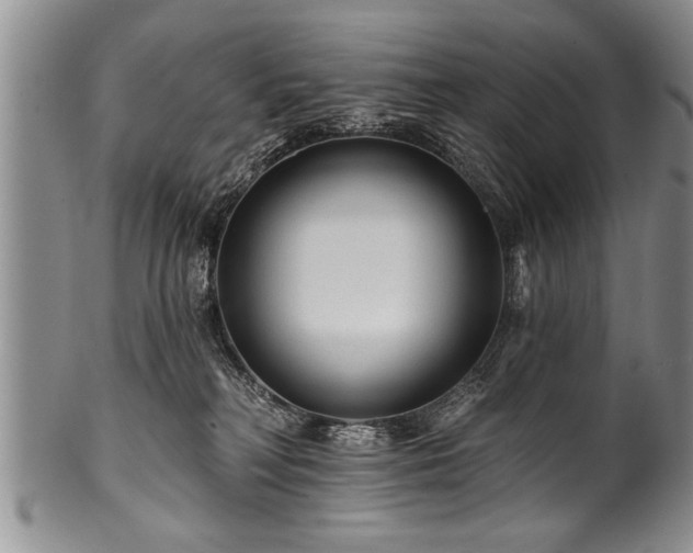 X0000100780230200806261636