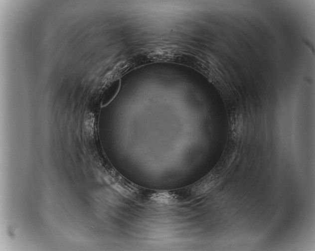 X0000100780231200806261636