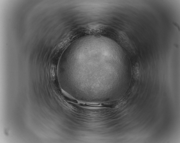 X0000100780232200806261636