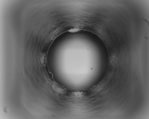 X0000100780233200806261636