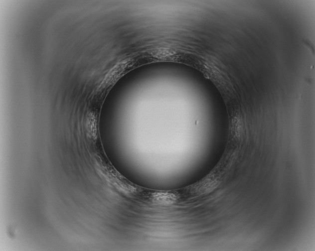 X0000100780234200806261636