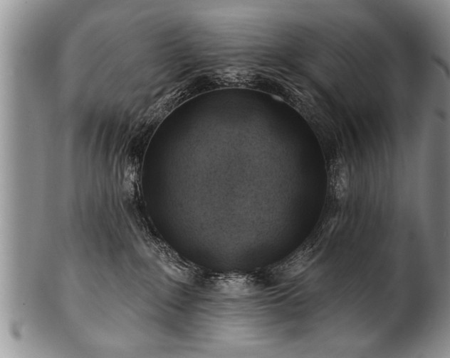 X0000100780235200806261636