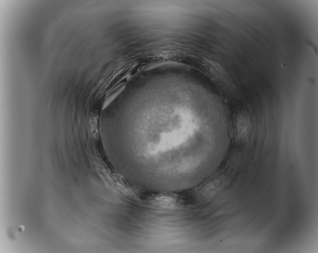 X0000100780236200806261636